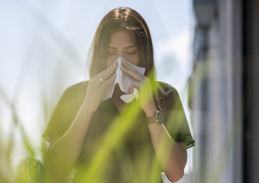 Von Heuschnupfen bis zur Pollenallergie: Schnupfen und Niesen sind typische Symptome dieser Allergien.